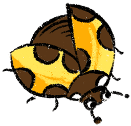 Asset Yellow